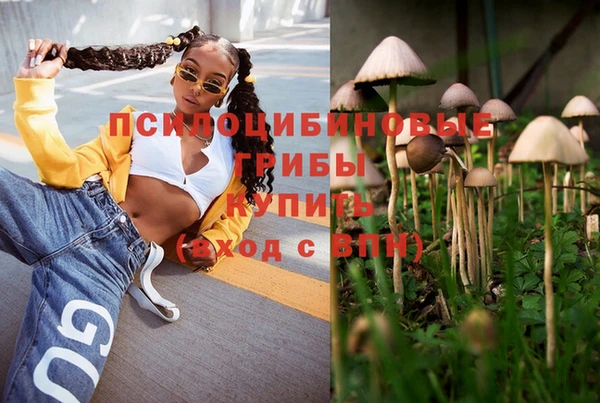 Альфа ПВП Алексеевка