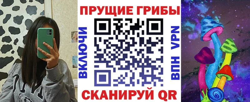 Псилоцибиновые грибы Psilocybine cubensis Алзамай